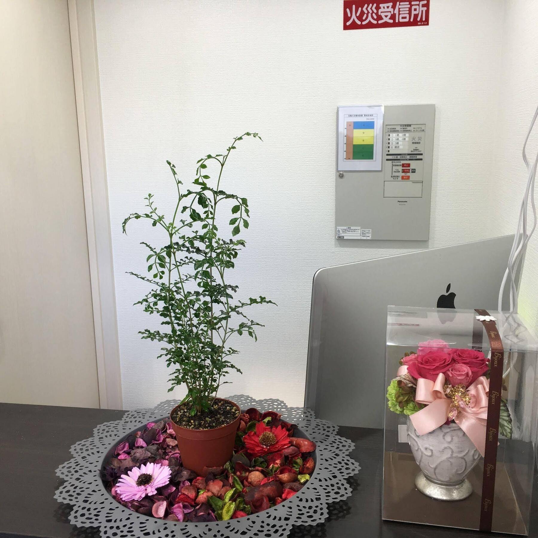 אוסקה Coco Hostel Namba מראה חיצוני תמונה